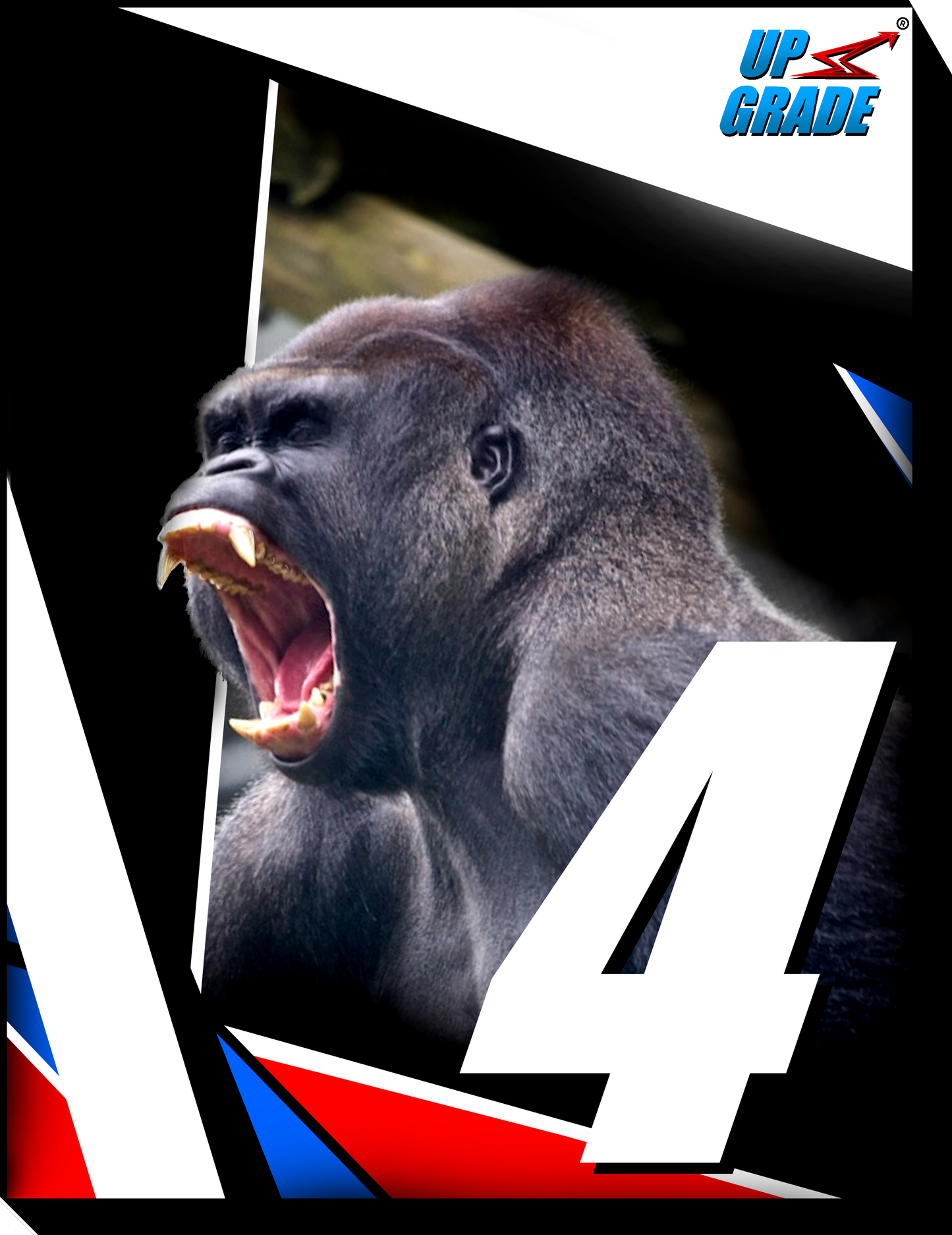 GORILLA RAGE